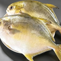 Whole Golden Pomfret