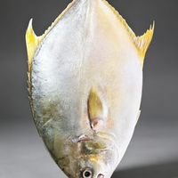 Whole Golden Pomfret