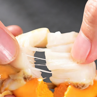 Large Scallop Meat