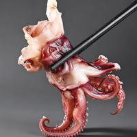 Tender Squid Tentacles