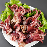 Tender Squid Tentacles