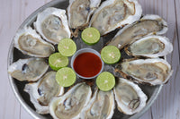 Jumbo Fresh Oysters